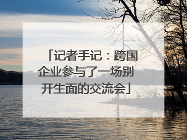 记者手记：跨国企业参与了一场别开生面的交流会