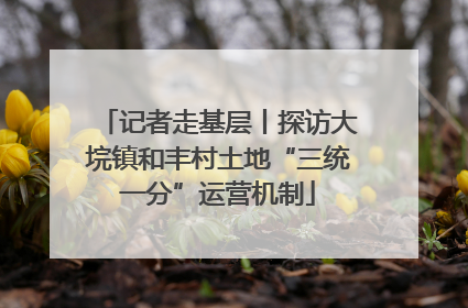 记者走基层丨探访大垸镇和丰村土地“三统一分”运营机制