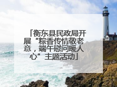 衡东县民政局开展“粽香传情敬老意，端午慰问暖人心”主题活动