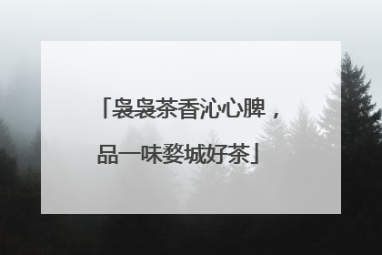 袅袅茶香沁心脾，品一味婺城好茶