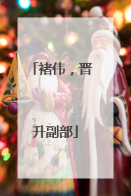 褚伟，晋升副部