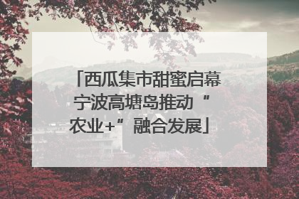 西瓜集市甜蜜启幕 宁波高塘岛推动“农业+”融合发展