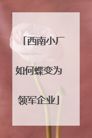 西南小厂如何蝶变为领军企业