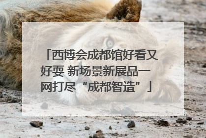 西博会成都馆好看又好耍 新场景新展品一网打尽“成都智造”