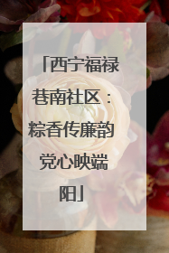 西宁福禄巷南社区：粽香传廉韵 党心映端阳