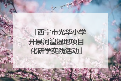 西宁市光华小学开展河湟湿地项目化研学实践活动