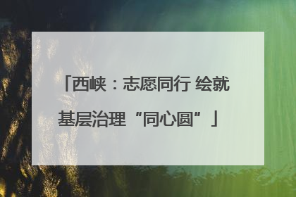 西峡：志愿同行 绘就基层治理“同心圆”