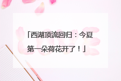西湖顶流回归：今夏第一朵荷花开了！