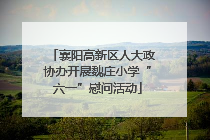 襄阳高新区人大政协办开展魏庄小学“六一”慰问活动