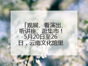 观展、看演出、听讲座、逛集市！5月20日至26日，云南文化馆里玩场多