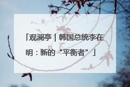 观澜亭｜韩国总统李在明：新的“平衡者”