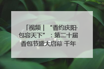 视频｜“香约庆阳·包容天下”：第二十届香包节盛大启幕 千年非遗香飘世界
