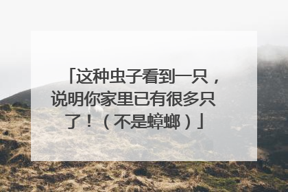 这种虫子看到一只，说明你家里已有很多只了！（不是蟑螂）