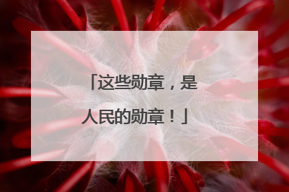 这些勋章，是人民的勋章！