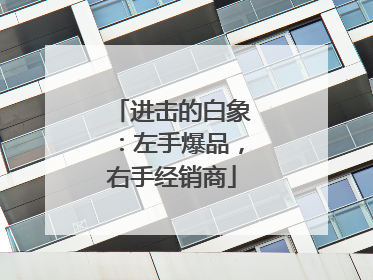 进击的白象：左手爆品，右手经销商