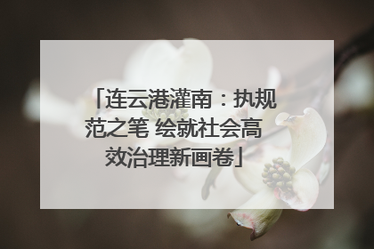 连云港灌南：执规范之笔 绘就社会高效治理新画卷
