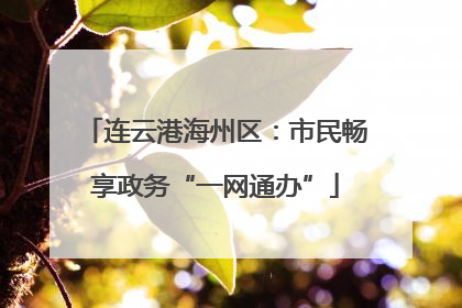 连云港海州区：市民畅享政务“一网通办”