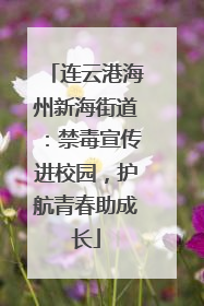 连云港海州新海街道：禁毒宣传进校园，护航青春助成长