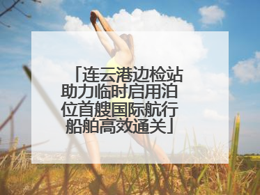 连云港边检站助力临时启用泊位首艘国际航行船舶高效通关
