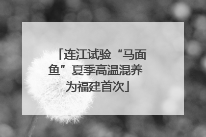 连江试验“马面鱼”夏季高温混养 为福建首次