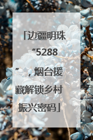 边疆明珠“5288”，烟台援藏解锁乡村振兴密码