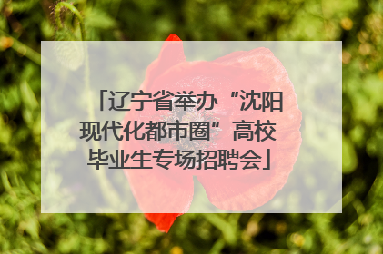 辽宁省举办“沈阳现代化都市圈”高校毕业生专场招聘会