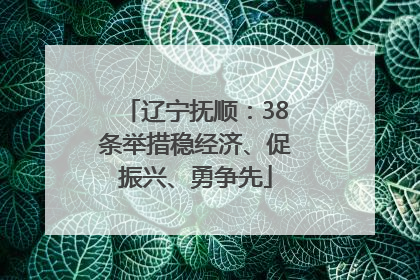 辽宁抚顺：38条举措稳经济、促振兴、勇争先