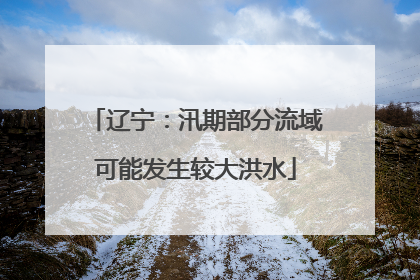 辽宁：汛期部分流域可能发生较大洪水