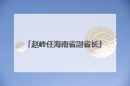 赵峰任海南省副省长