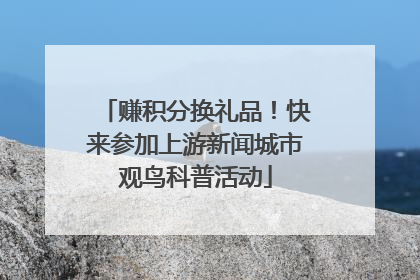 赚积分换礼品！快来参加上游新闻城市观鸟科普活动