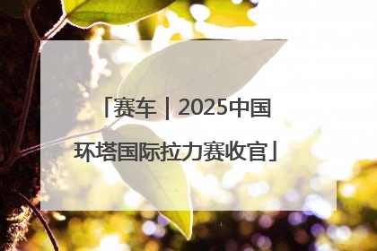 赛车｜2025中国环塔国际拉力赛收官
