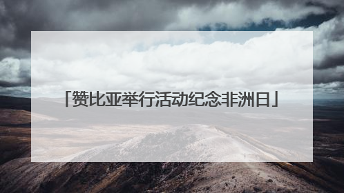 赞比亚举行活动纪念非洲日