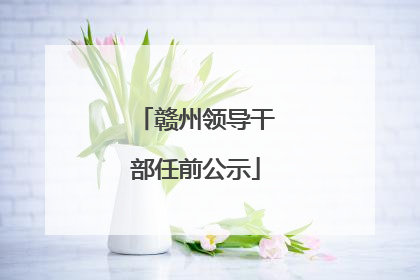 赣州领导干部任前公示