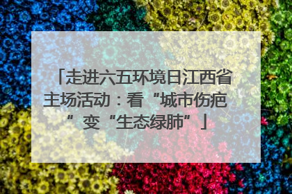 走进六五环境日江西省主场活动：看“城市伤疤”变“生态绿肺”
