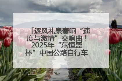 逐风礼泉奏响“速度与激情”交响曲！2025年“东恒盛杯”中国公路自行车联赛第五站（陕西·礼泉站）正式开赛