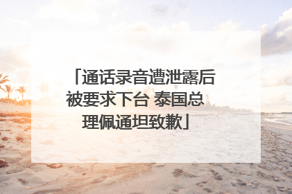 通话录音遭泄露后被要求下台 泰国总理佩通坦致歉