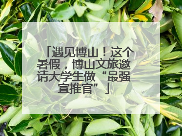 遇见博山！这个暑假，博山文旅邀请大学生做“最强宣推官”