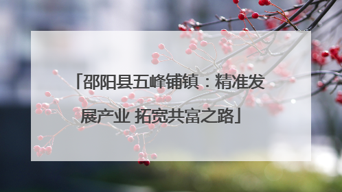 邵阳县五峰铺镇：精准发展产业 拓宽共富之路