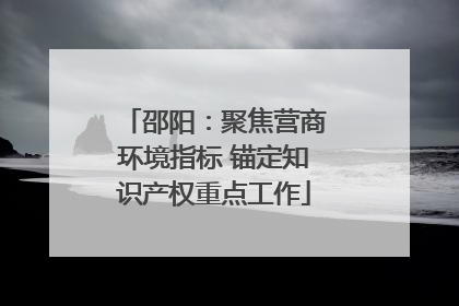 邵阳：聚焦营商环境指标 锚定知识产权重点工作