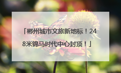 郴州城市文旅新地标！248米锦马时代中心封顶！