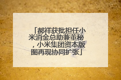 郝祥获批担任小米消金总助兼董秘，小米集团资本版图再现协同扩张