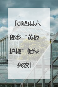 郧西县六郎乡“黄板护椒”促绿兴农