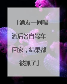 酒友一同喝酒后各自驾车回家，结果都被抓了
