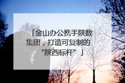 金山办公携手陕数集团，打造可复制的“陕西标杆”