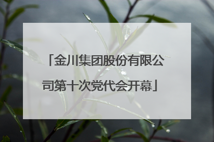 金川集团股份有限公司第十次党代会开幕