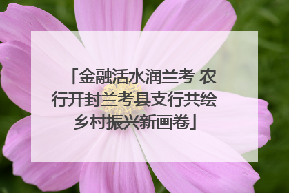 金融活水润兰考 农行开封兰考县支行共绘乡村振兴新画卷