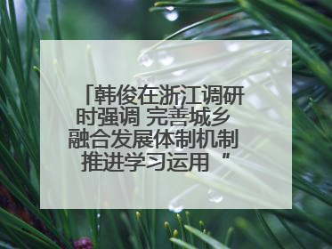韩俊在浙江调研时强调 完善城乡融合发展体制机制 推进学习运用“千万工程”经验走深走实