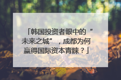 韩国投资者眼中的“未来之城”，成都为何赢得国际资本青睐？