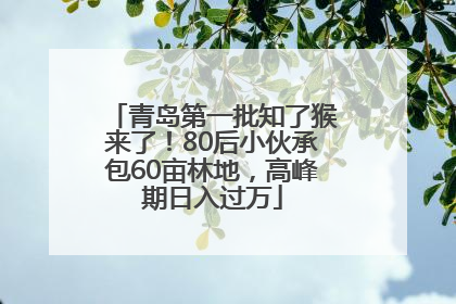 青岛第一批知了猴来了！80后小伙承包60亩林地，高峰期日入过万