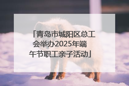 青岛市城阳区总工会举办2025年端午节职工亲子活动